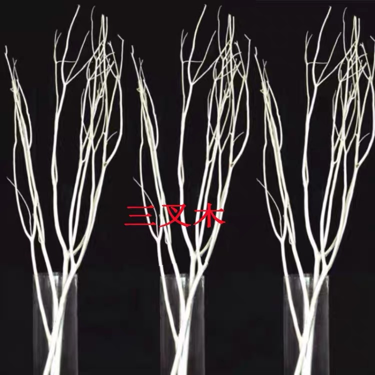 三叉木干支工厂批发客厅玄关橱窗装饰树枝可以加工颜色干枝价格优