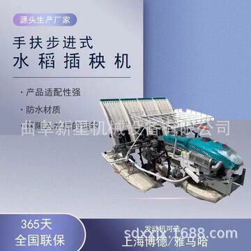 六行乘坐式水稻插秧机 手动四行水上漂水稻插秧机 手摇两行插苗机