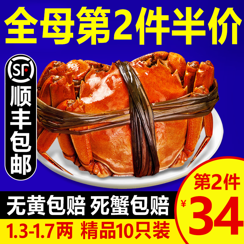满黄全母大闸蟹螃蟹鲜活六月黄河蟹海鲜水产活体现货顺丰10只装