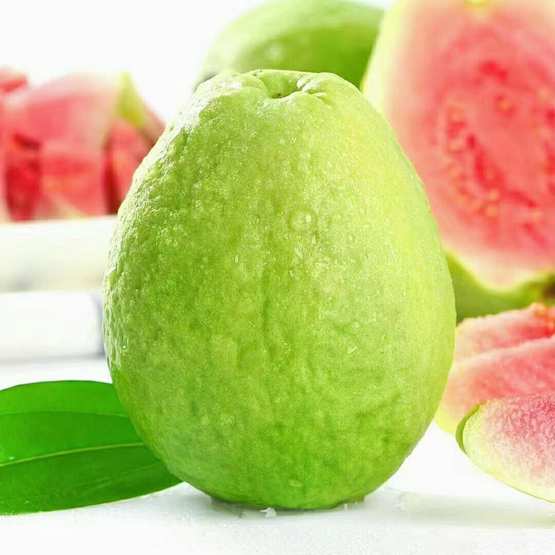 福建红心芭乐潘石榴5斤装现货供应下单即送酸梅粉原产地一件代发