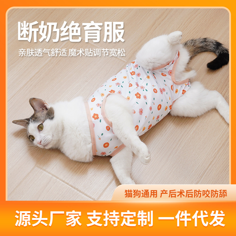 猫咪绝育服母猫手术衣服薄款宠物断奶服防舔防掉毛透气术后服批发