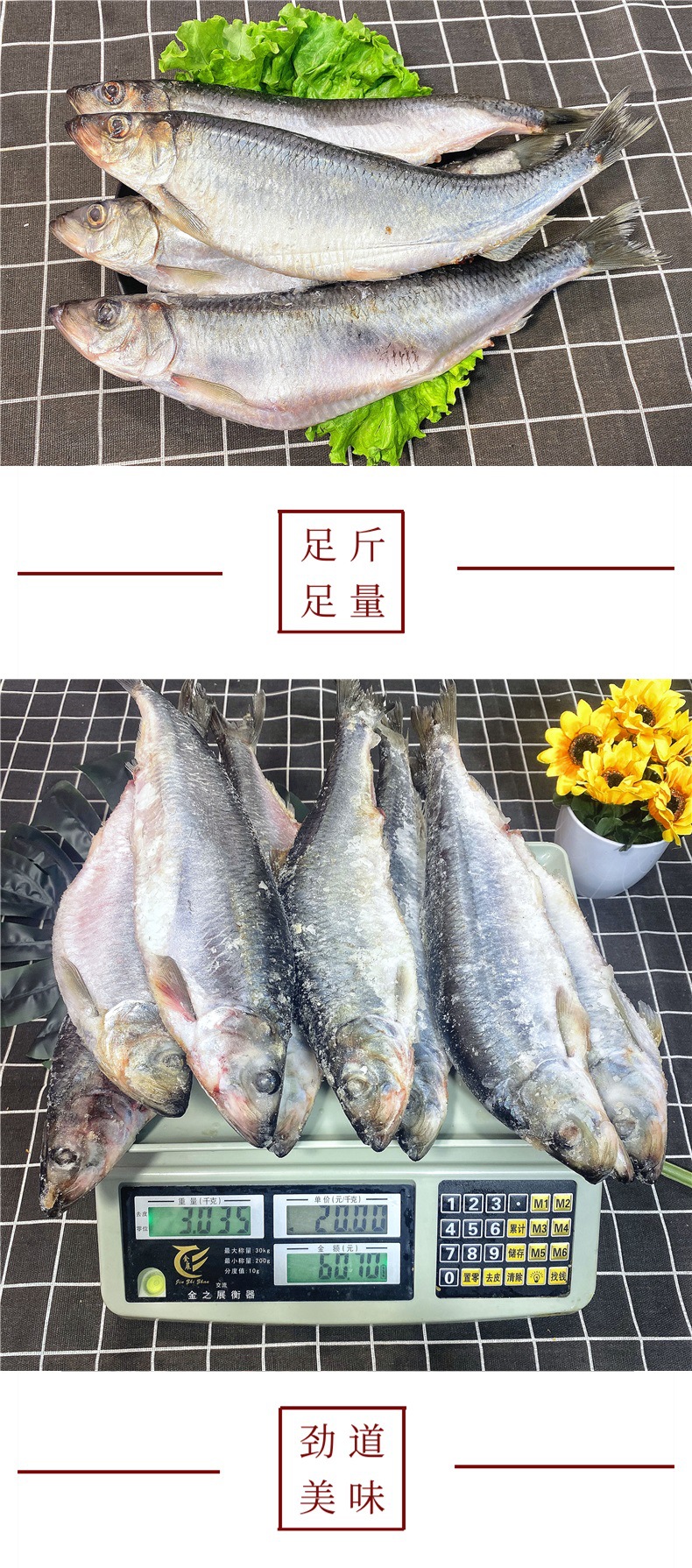 新鲜青鱼鲭鱼沙丁鱼俄罗斯鲱鱼鱼籽鱼白鳁鱼温鱼海鱼冷冻鲜鱼6斤