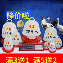 鸡用饮水器 真空饮水壶 雏鸡饮水桶 鸡鸭鹅自动喂水器养鸡设备