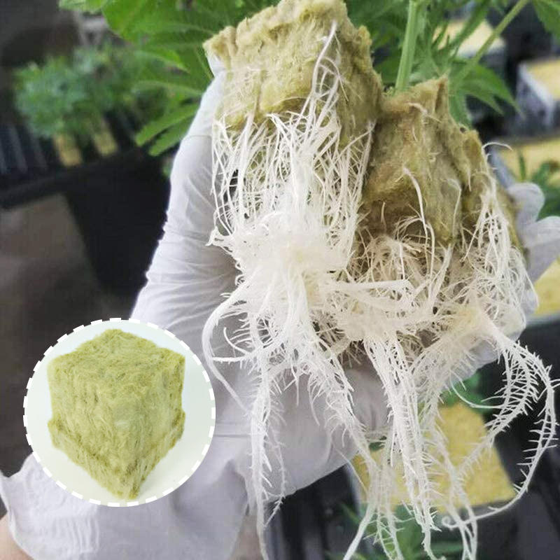 5寸格露丹grodan岩棉 农用无土栽培岩棉育苗 水培种植基质