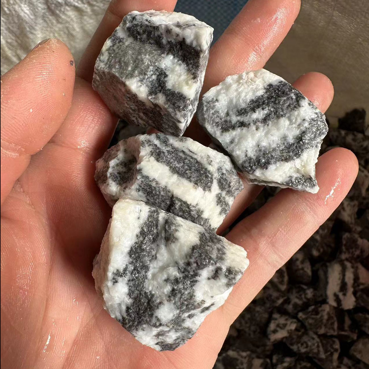 天然黑白斑马石原石 碎石无火晶石香薰扩香石家居原矿水晶摆件