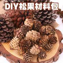 松果天然干枯树枝松塔手工创意diy幼儿园端午节环境布置装饰挂饰