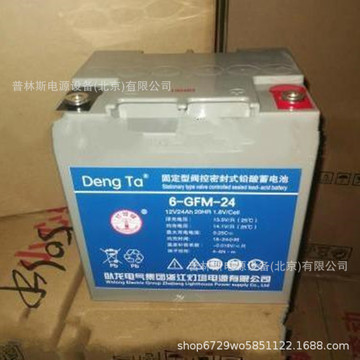 卧龙灯塔蓄电池 6-gfm-24直流屏免维护蓄电池12v24ah 铅酸蓄电池