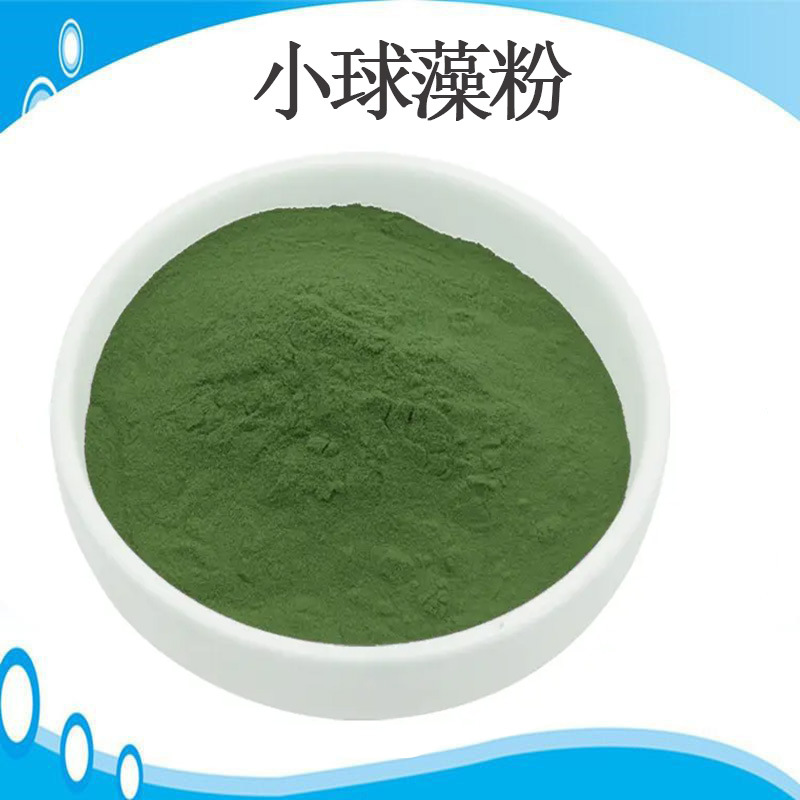 破壁蛋白核 小球藻粉 有机绿藻粉食品级 &饲料级 小球藻提取物
