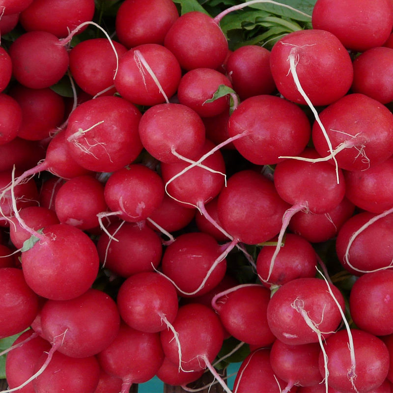 新鲜樱桃萝卜红丁当季水果小红萝卜特产甜脆青潍坊胡萝卜蔬菜
