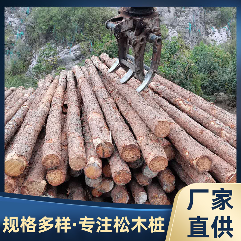 从科木业原木林场直发防汛木桩河道防洪打桩木园林支撑5米木桩