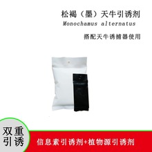 松褐天牛诱芯诱捕器松墨天牛诱芯诱捕器