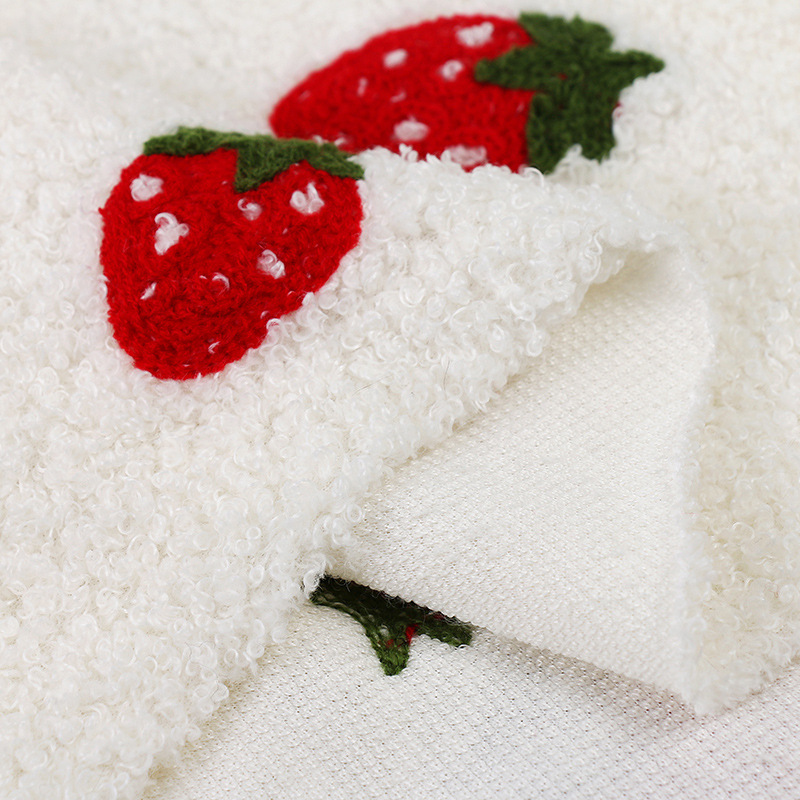 Teddy Lambswool Embroidery Embroidery Flannel Strawberry Cherry Bouquet Packaging Children's Clothing Blanket Home Textile Wool Fabric