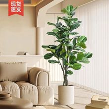 D它仿真绿植假植物琴叶榕高端轻奢客厅装饰大型仿生盆栽室内盆景