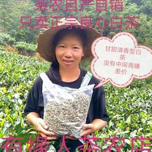 茶叶白茶白毫银针秧塔新茶特级高山白茶叶批发普洱茶礼盒茶农直销