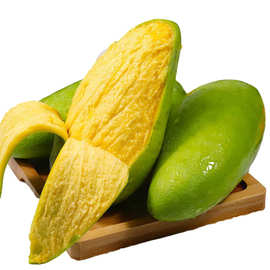 青皮金煌芒果-青皮金煌芒果批发,促销价格,产地货源 - 阿里巴巴