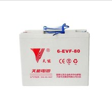 天能动力电瓶12V80AH 6-EVF-80适用于巡逻车观光车叉车电动车