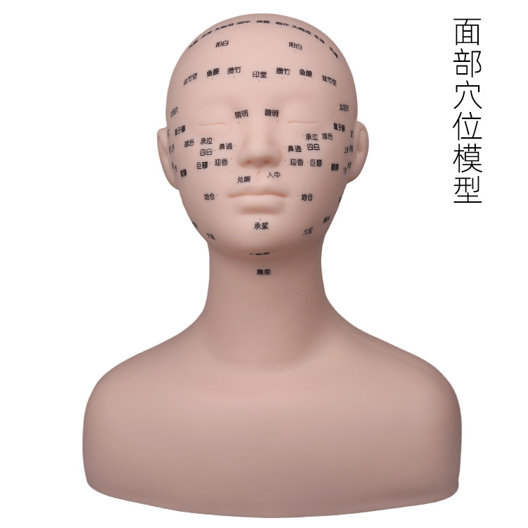 Model Head for Beauty Use Skin Management Mannequin Head Facial Acupuncture Point Model Beauty Hair Practice Head Mannequin Head Beauty Salon Mannequin Head