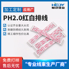 PH2.0端子线线束排线红白双头同向反向多P电子接线端子线加工