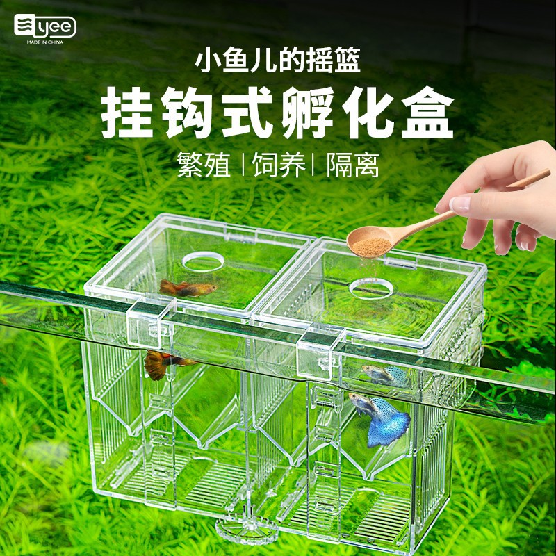 Guppy Breeding Box Douyu Fish Tank Isolation Box Large Juvenile Fish Small Fish Seedling Incubator Acrylic Fish Egg Delivery Room