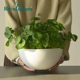 家用水培无孔养鱼养睡莲专用塑料大花盆铜钱草碗莲水仙花简约器皿