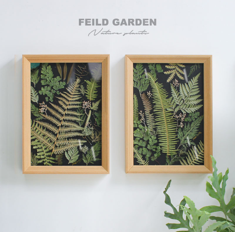 herbarrium植物标本装饰画干花相框挂画树叶奇幻森林秘密花园九植