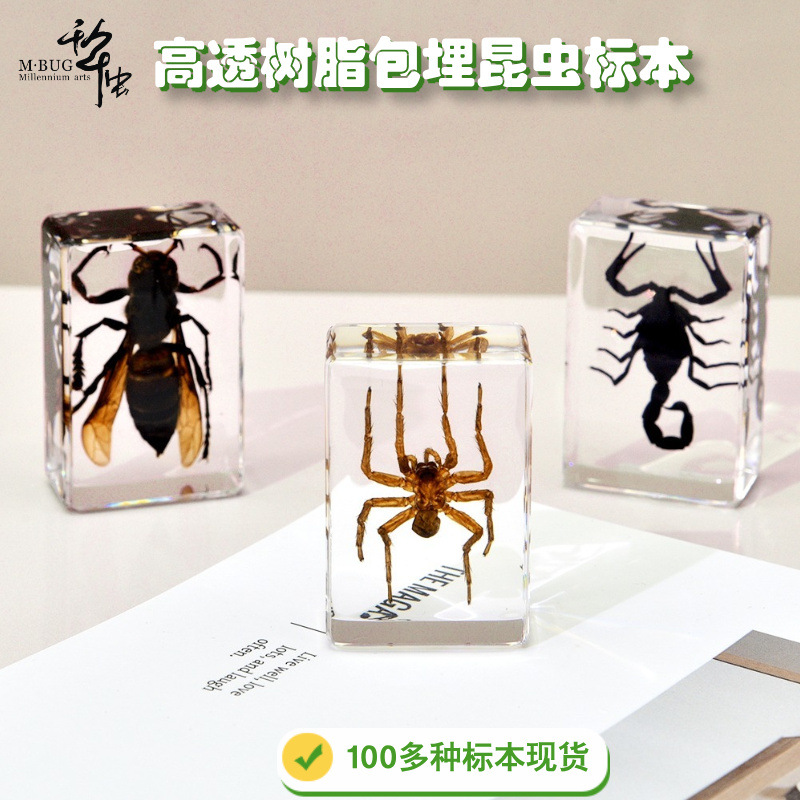 千年虫树脂滴胶昆虫动物100多种甲虫蜘蛛蝎子儿童研学摆件手工