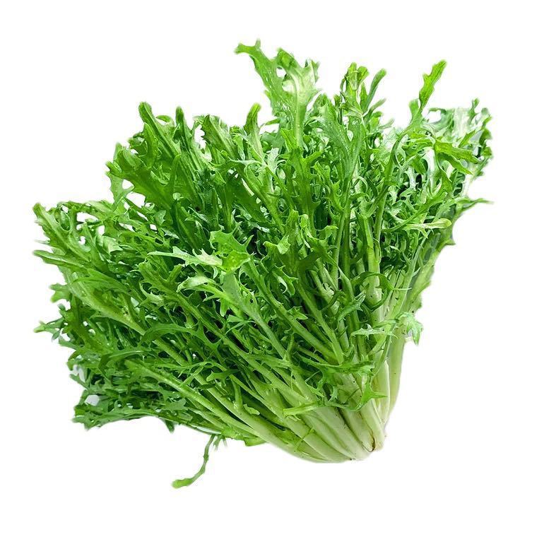 新鲜苦菊500g 苦细叶苦叶生菜 狗牙菜苦苣 蔬菜沙拉菜健身食材