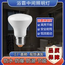 【厂家直销】浴霸中间照明LED白光灯可替换老式浴霸灯防水防爆