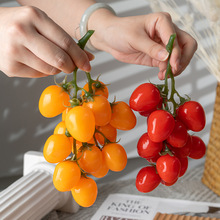仿真水果模型圣女果小番茄野餐拍照道具美食摄影厨房场景装饰布置