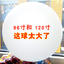 批发乳胶大气球 96寸2米120寸2.6m特大号加厚大白球 飘空汽球开业