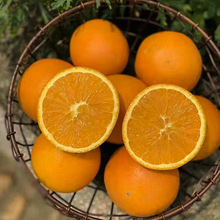 湖北秭归伦晚甜橙当季新鲜橙子现摘现发整箱5斤装9斤装产地直发