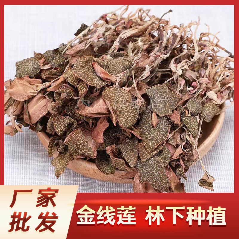 福建南靖正宗金线莲原生态林下种植干品500克基地直销
