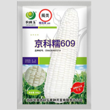 京科糯609甜加糯白玉米种子 鲜食玉米种子 农科玉白糯甜玉米