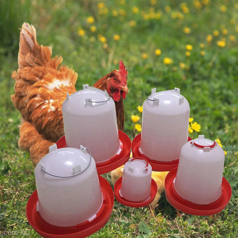 鸡用自动饮水器新型小鸡饮水器  手提喂水器鸡用饮水器