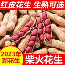 2023红皮花生新鲜山东原味花生带壳炒熟红衣花生晒干四粒红炒货