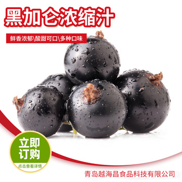 25kg/桶浓缩黑加仑汁 果汁原浆批发