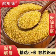 食用黄小米500g粗粮新米黄金米营养养胃五谷杂粮早餐小黄米粥粥米