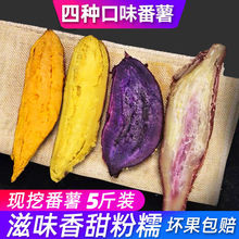 紫薯5斤四种口味冰淇淋西瓜红甜薯鸡蛋黄板栗红薯一点红地瓜2斤