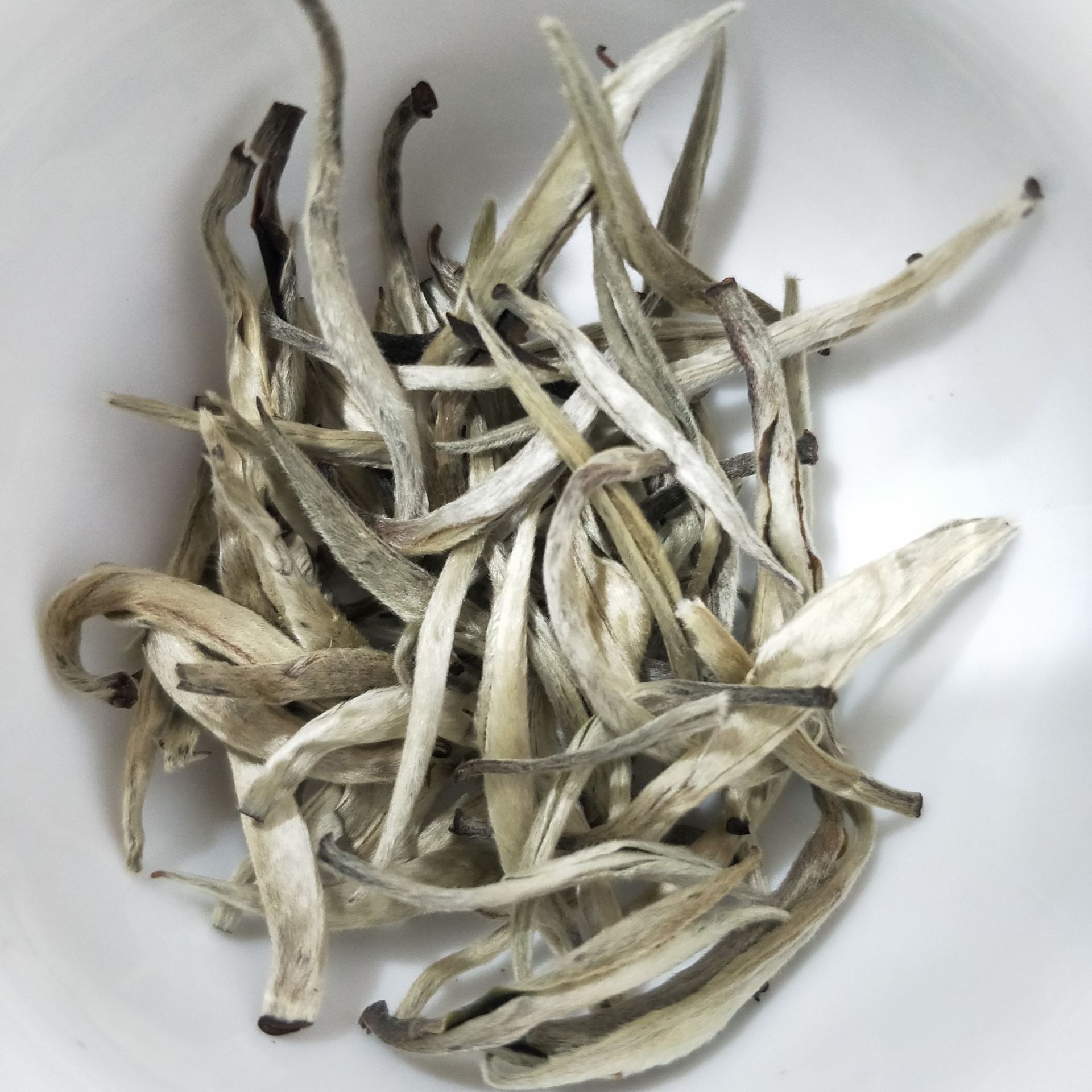 福建白茶 白毫银针茶饼 月光白茶叶 全芽头银针 白茶饼批发定制