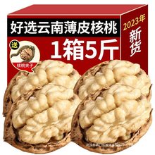 云南纸皮核桃2023新货生薄皮核桃仁新鲜孕妇散装零食坚果原味炒货