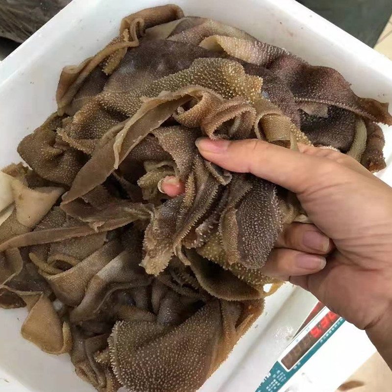 毛肚边角料5斤毛肚碎叶片牛杂千层肚牛百叶火锅食材串串冒菜批发