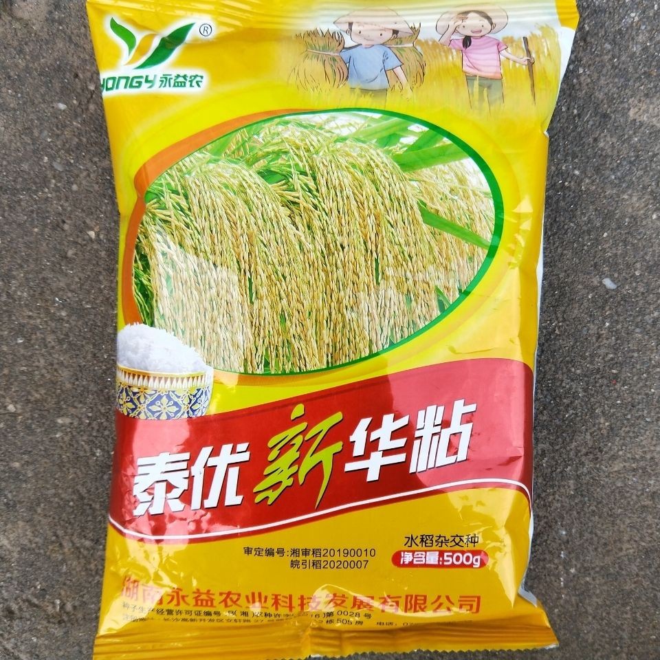 泰优新华粘水稻种子 杂交稻谷籼型三系杂交稻500克