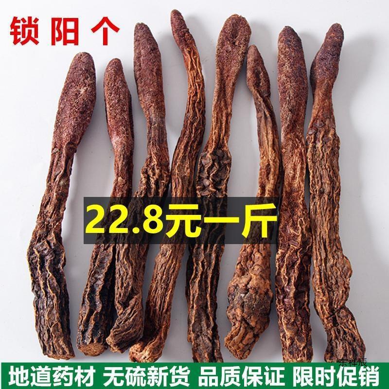 材锁阳个500包邮野生级整根泡酒料男滋补泡茶锁阳片-阿里巴巴