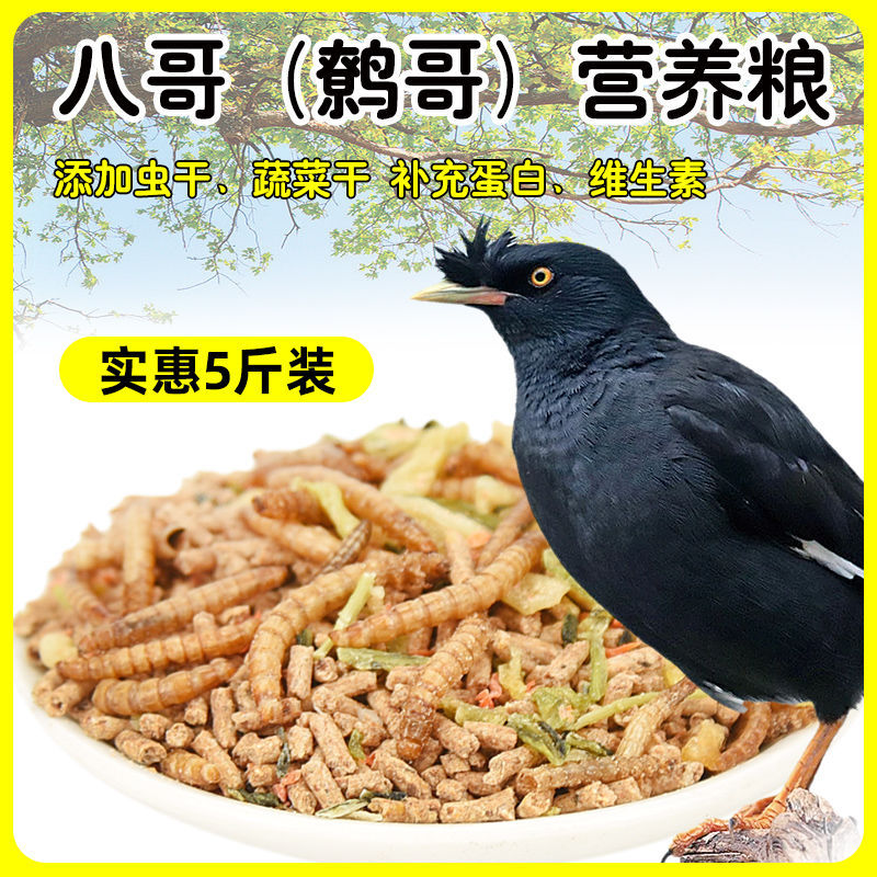 粮鹩哥饲料鸟饲料鹩哥鸟食海八黑八鸟鸟料5斤装速卖通热-阿里巴巴
