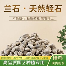 轻石浮石兰石颗粒植物兰花种植铺面石垫底植料种花造景钵底石批发