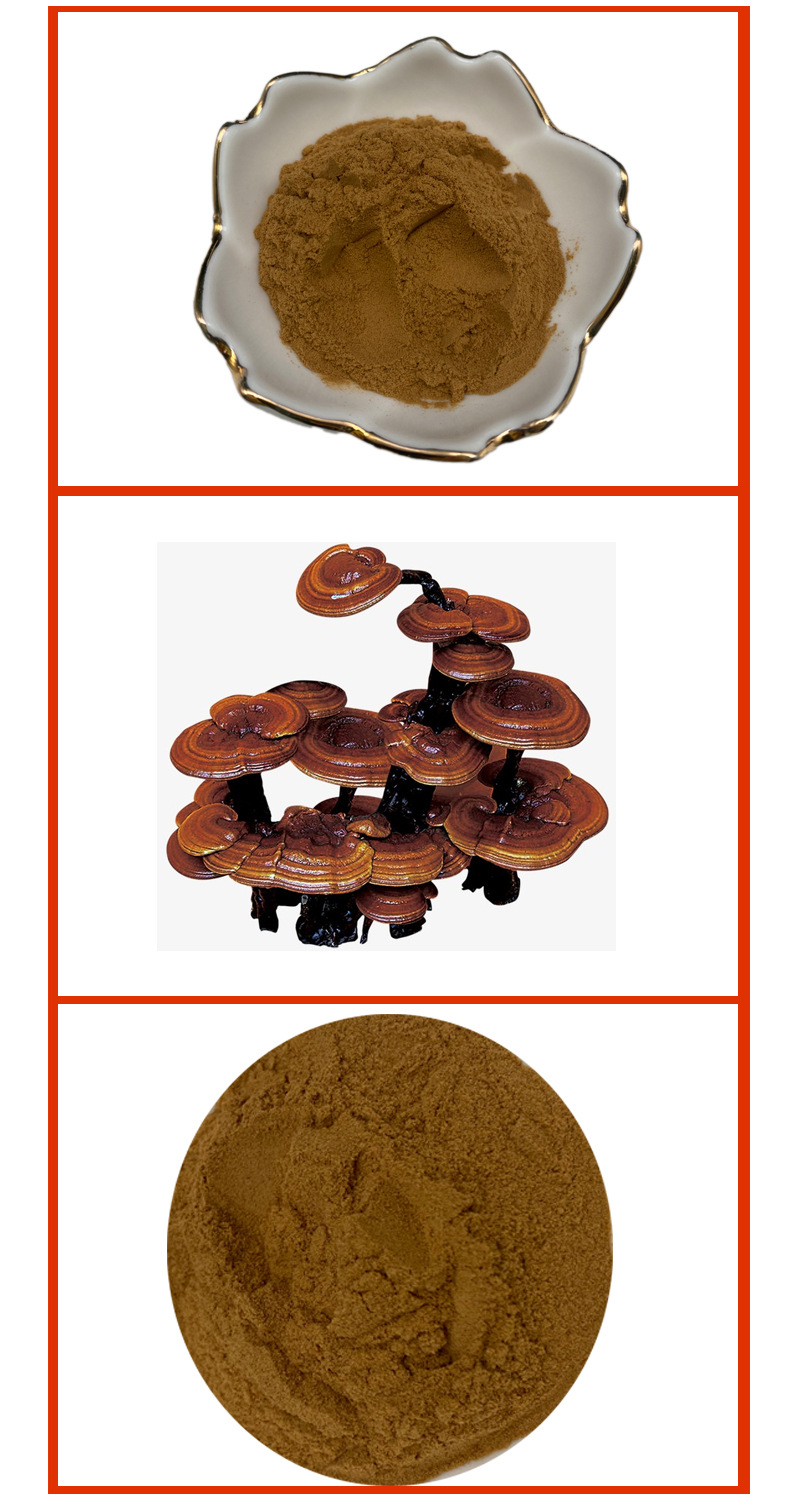 灵芝多糖30%~90% 灵芝糖肽 灵芝提取物 赤芝 红芝 三秀茵多糖现货