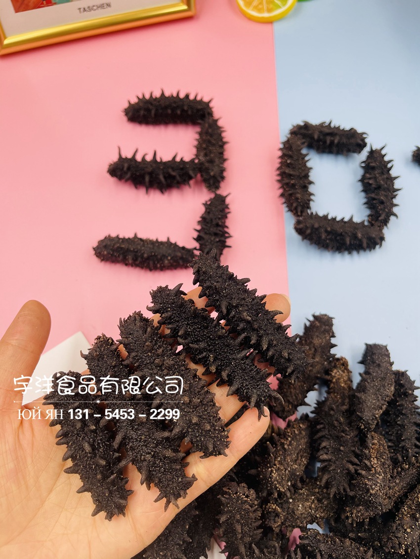 俄罗斯野 30头大头海参一斤约30根海参淡干原货6排刺一件代发批发