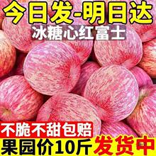 陕西洛川红富士苹果水果新鲜整箱当季脆甜丑平果冰糖心包邮萍果