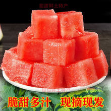 麒麟西瓜批发价甜8424现摘冰糖当季美都无籽有籽瓜水果速卖通厂家