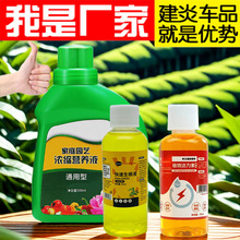 绿萝肥料 植物活力素 生根肥 盆栽用花肥  植物生长液 生长活力素